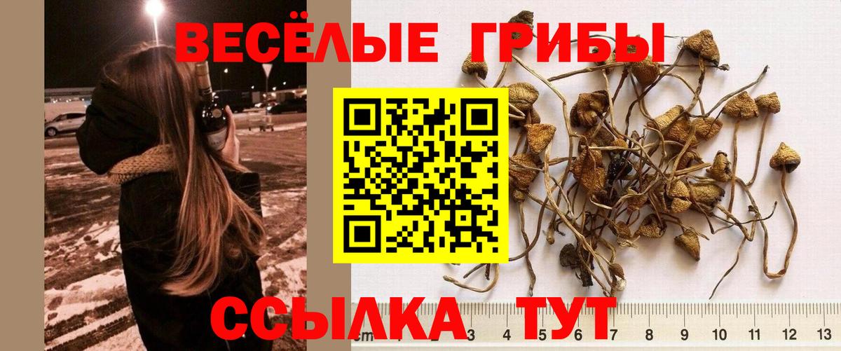 Корсаков  Галлюциногенные грибы ЛСД  Вход с VPN 